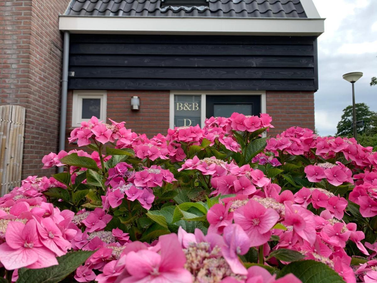 Apartment - De Koog
